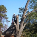 R L Elliott Enterprises Inc - Tree Service