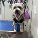 Andy's Grooming & Boarding - Pet Services