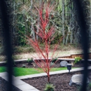 Simple Lawns Landscape Design - Drainage Contractors
