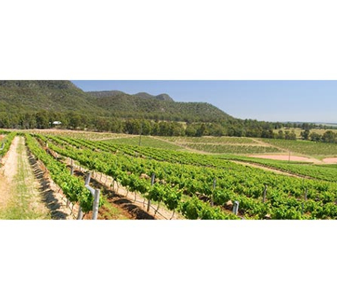 Curtis Gant Betts - Muswellbrook, NSW