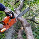 Able Tree Service - Tree Service