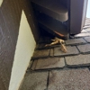 Critter Control gallery