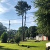 A To Z Tree Service gallery