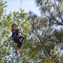 Texas TreeVentures - Tourist Information & Attractions