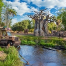 Kilimanjaro Safaris - Tourist Information & Attractions