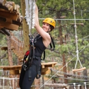 Treehouse Adventure Park