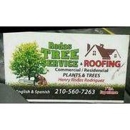 Rodas Tree Service - Tree Service