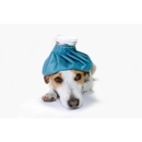 Toledo Blade Animal Clinic - Pet Services