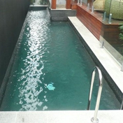 Gallery Image Number 5