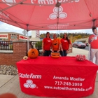 Amanda Moeller - State Farm Insurance Agent