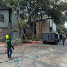 Wilder Tree Company