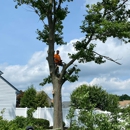 Munz's Landscaping & Construction - Patio Builders