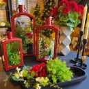 Trillium Home - Home Decor