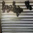 Critter Control of New Bedford - Pest Control Services