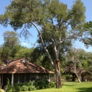 Alamo Tree Service - Tree Service