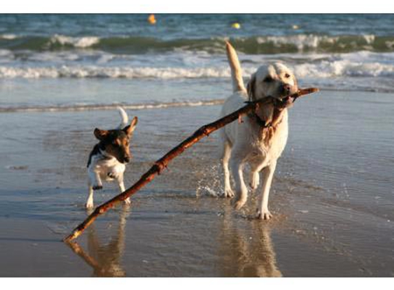 Valley Vet Mackay - Mackay, QLD