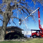 Schra Tree Care
