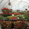 A Time to Plant gallery
