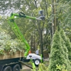 Lavish Landscaping Service gallery