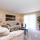 Ashton Place Apartments - Apartments