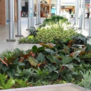 Foliage Design Systems of Memphis - Plants-Interior Design & Maintenance