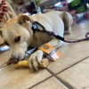 Dunk'N Dogs gallery