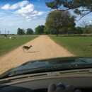 Global Wildlife Center - Nature Centers