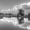 Occoquan Bay National Wildlife Refuge gallery