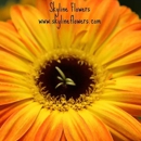 Skyline Flower Growers - Florists