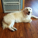 L.C.S. Grooming - Pet Services