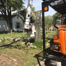 Lone Star Tree & Roofing Services - Tree Service