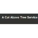 A Cut Above Tree Service - Tree Service