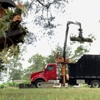 Rick's Tree Service gallery