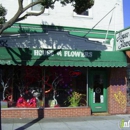 The Delicate Daisy - House of Flowers - Florists