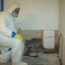 Mold Men of Pittsburgh - Mold Remediation