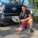 Active Trapping - Pest Control Services