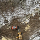 The Tree Company