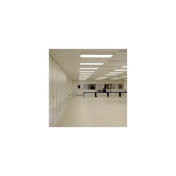 Gallery Image Number 7