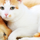 Alpine Veterinary Hospital - Veterinarians
