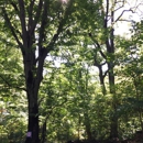 75 Prospect Park SW Tenants Corp - Parks