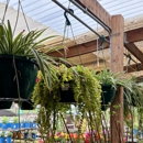 Cavacini Landscaping & Garden Center - Firewood