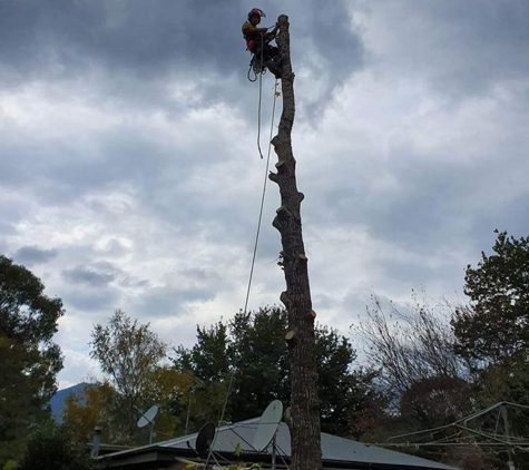 Advanced Tree Care - Bonnie Doon, VIC