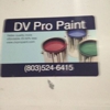 DV Pro Painting gallery
