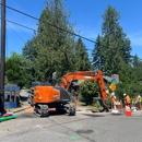 Mighty Arm Excavation