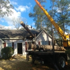 Mike's Tree Service