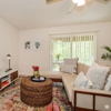 Treeline Trails gallery
