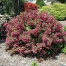 C & D Landscaping and Design, Inc - Snow Removal Service