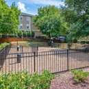 Mayfaire Apartments - Apartments
