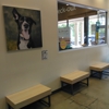 Vetco Total Care Animal Hospital gallery