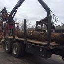 Baumann Tree - Tree Service